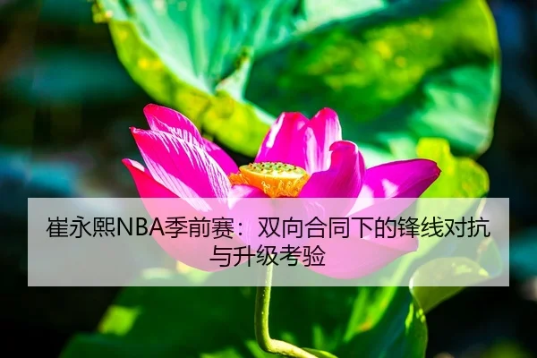 崔永熙NBA季前赛：双向合同下的锋线对抗与升级考验