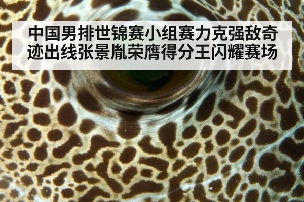 中国男排世锦赛小组赛力克强敌奇迹出线张景胤荣膺得分王闪耀赛场