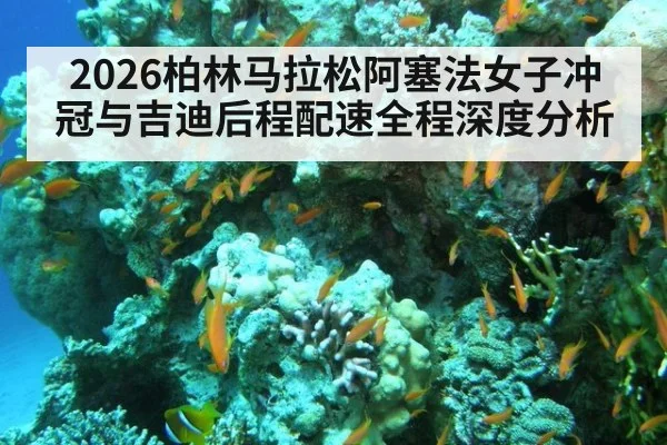 2026柏林马拉松阿塞法女子冲冠与吉迪后程配速全程深度分析